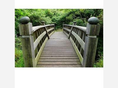 How Kids transitioning into Adulthood can lead Moms needing more Therapy!