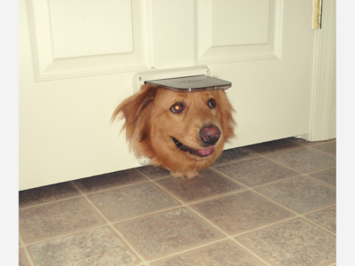 Funny Friday...a little humor!